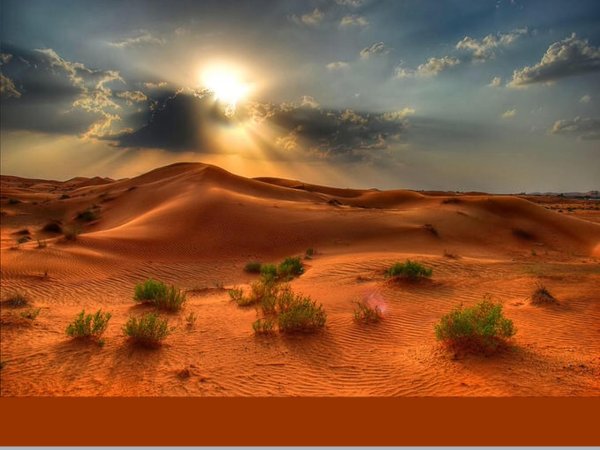 фон пустыни