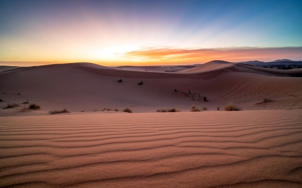 обои на рабочий стол пустыня