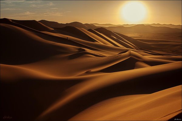 дюна пустыня