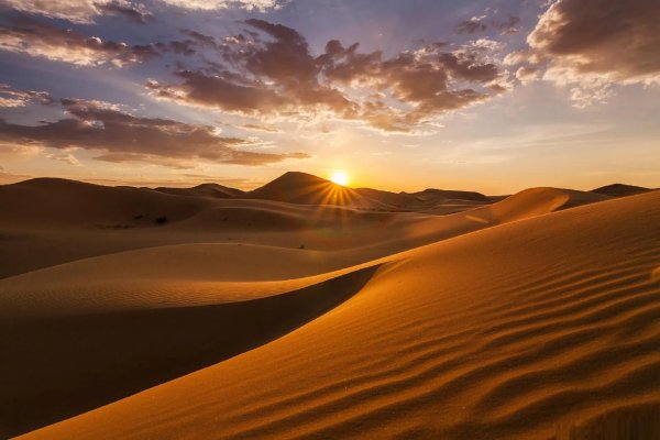 барханы пустыни гоби