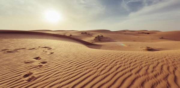 саудовская аравия пустыня