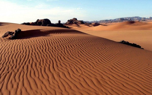 пустеля сахара