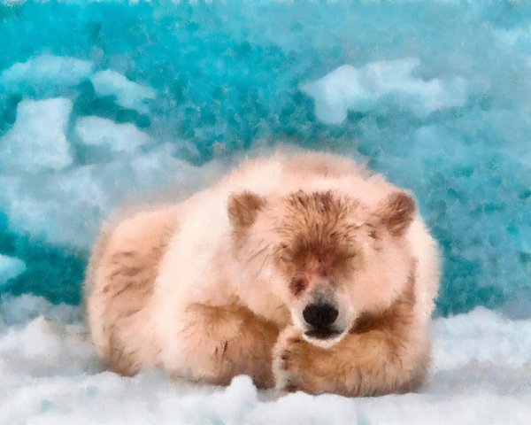 медведь северный