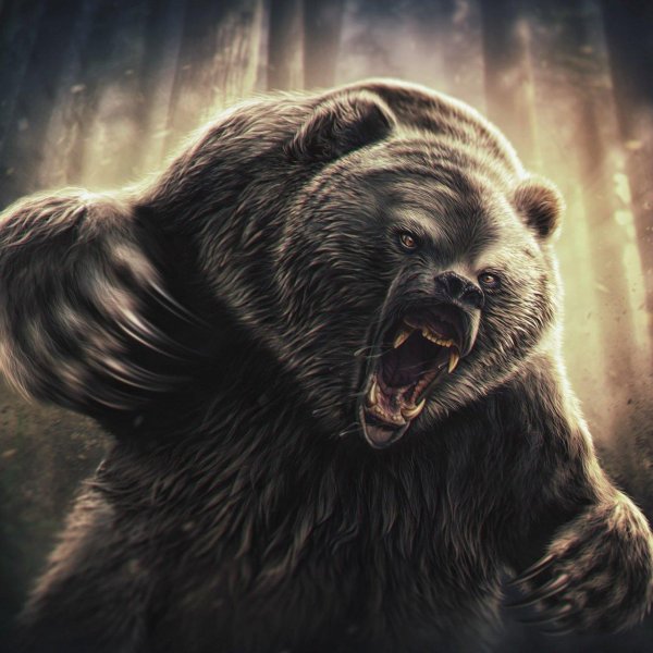 оскал медведя