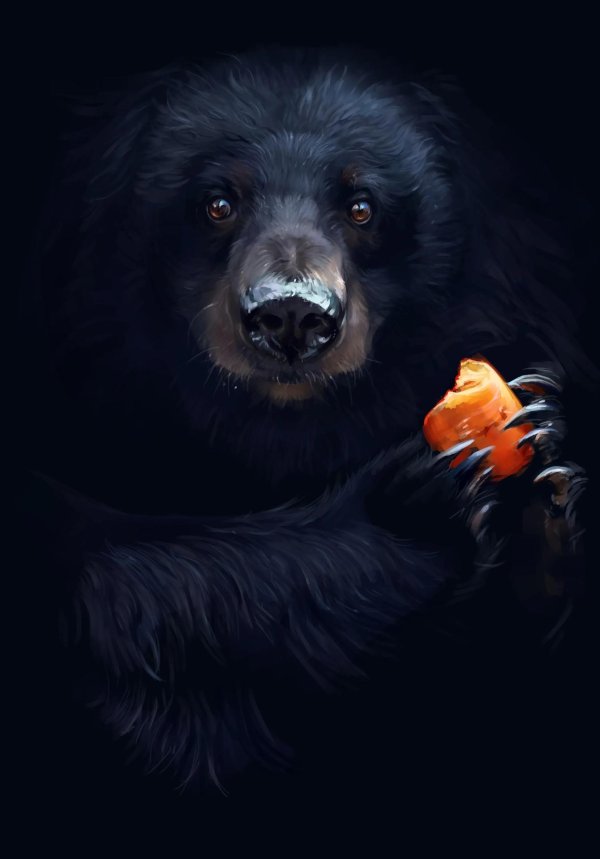 медведи арт