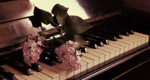 рахманинов сирень