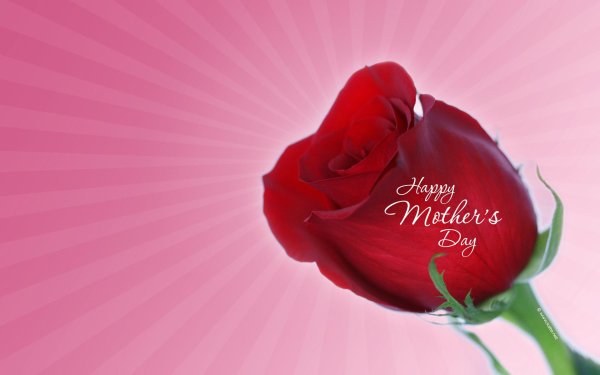 happy mother day