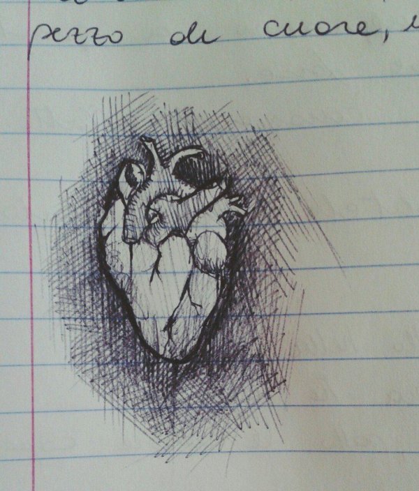 рисунок в тетради