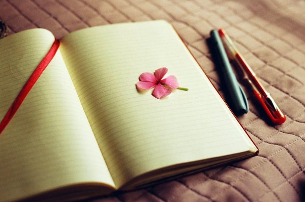 книга красивая