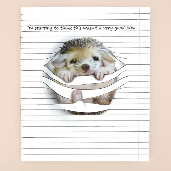 ежики милые