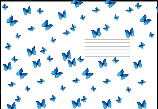 синие бабочки