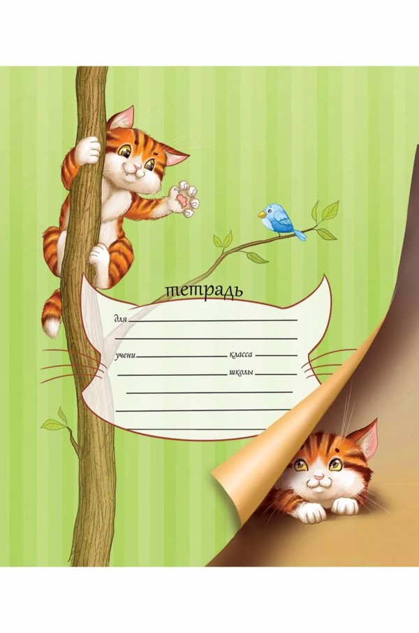 тетради 12 л