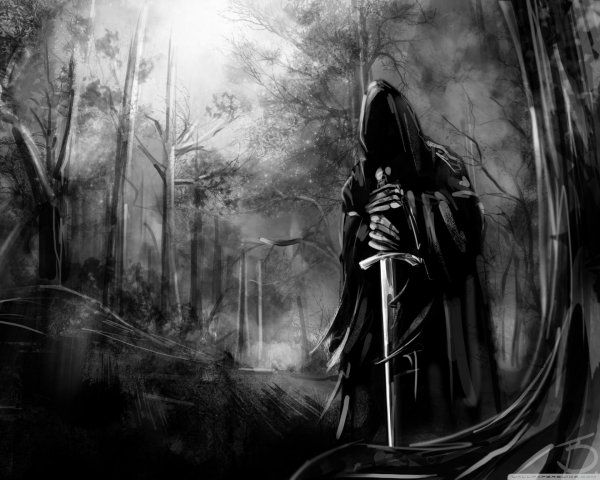 властелин колец назгул