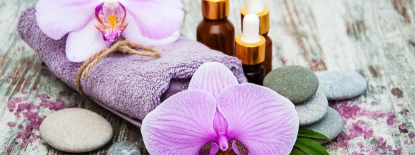орхидея wellness spa