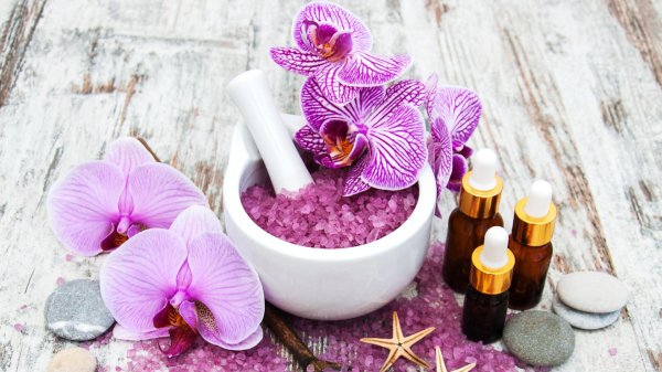 цветок орхидеи