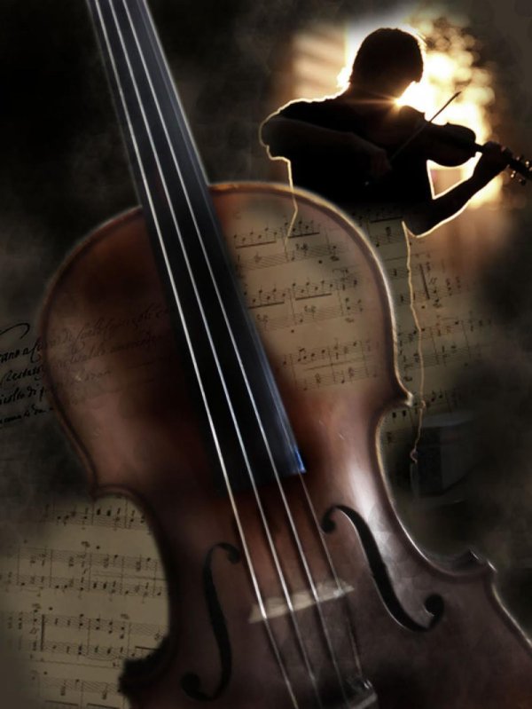 казиев музыкант скрипач