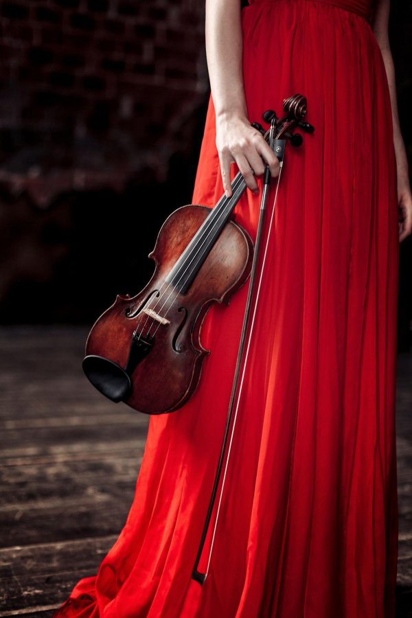 фотосессия со скрипкой