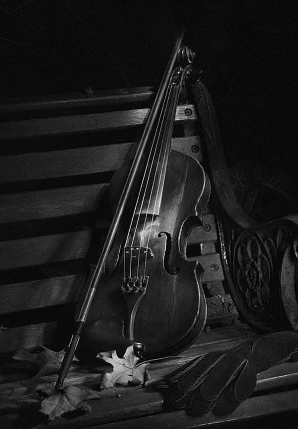 скрипка эстетика