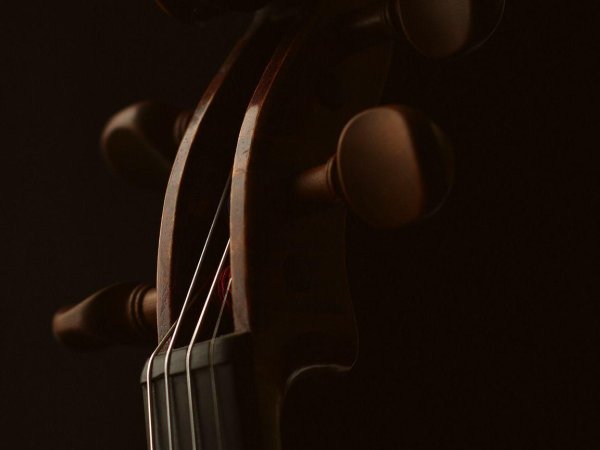 скрипка обои