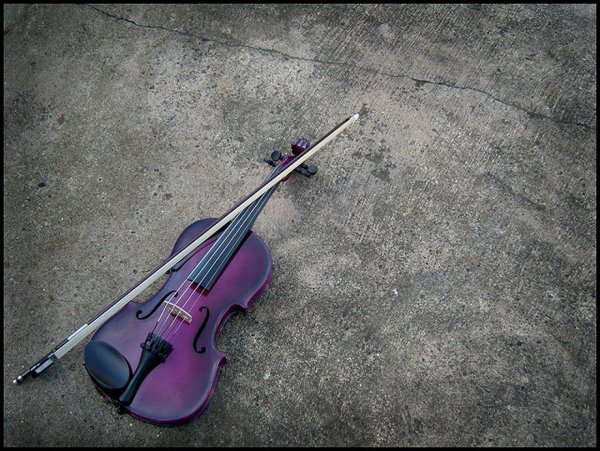 purple violin