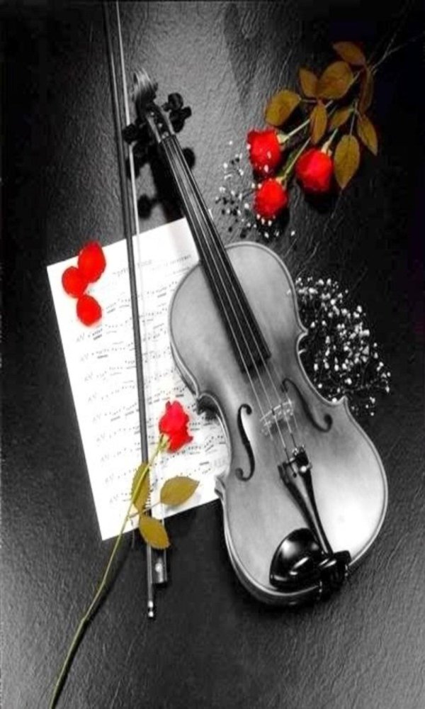 скрипка и цветы