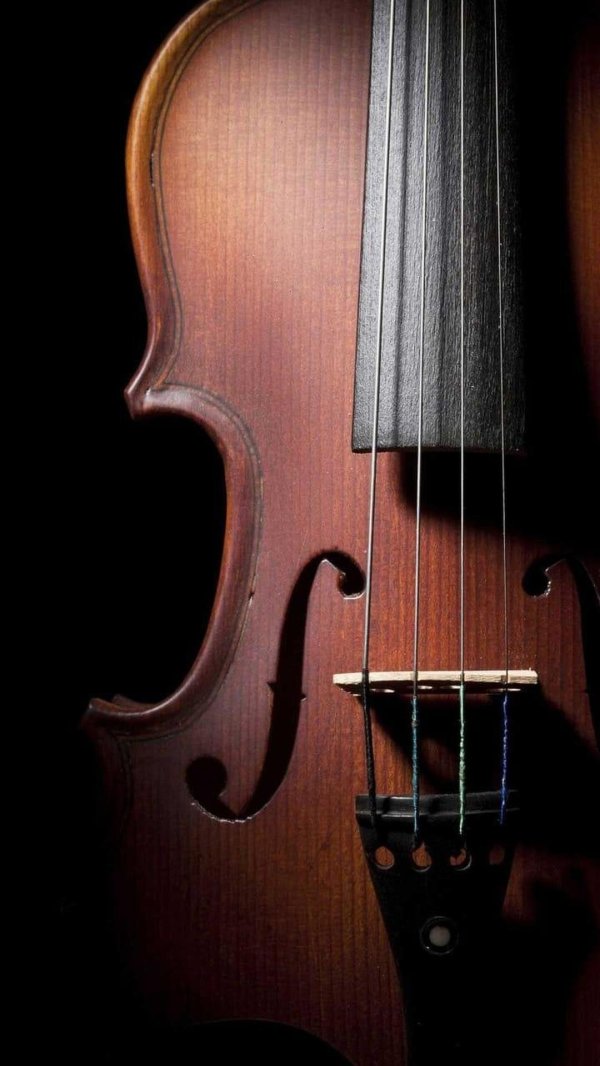 violin viola