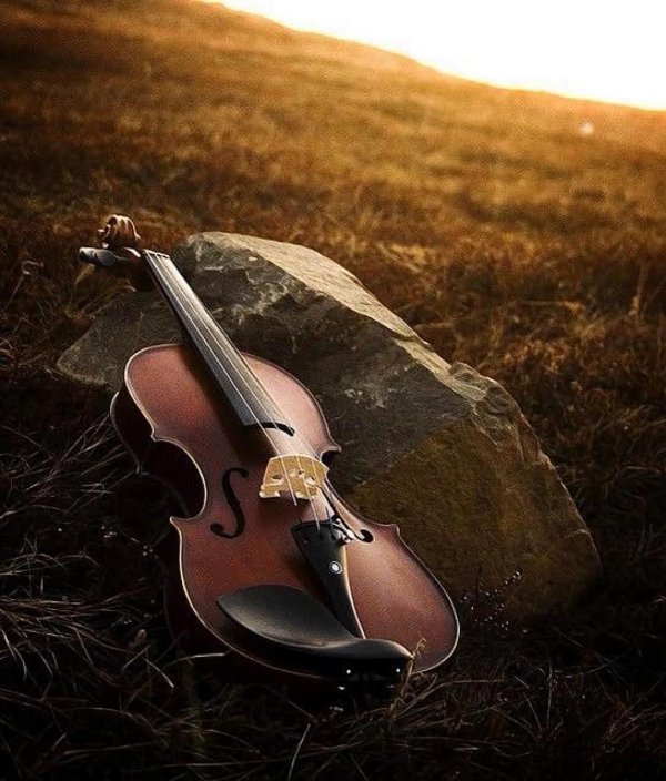 скрипка фиддл кантри