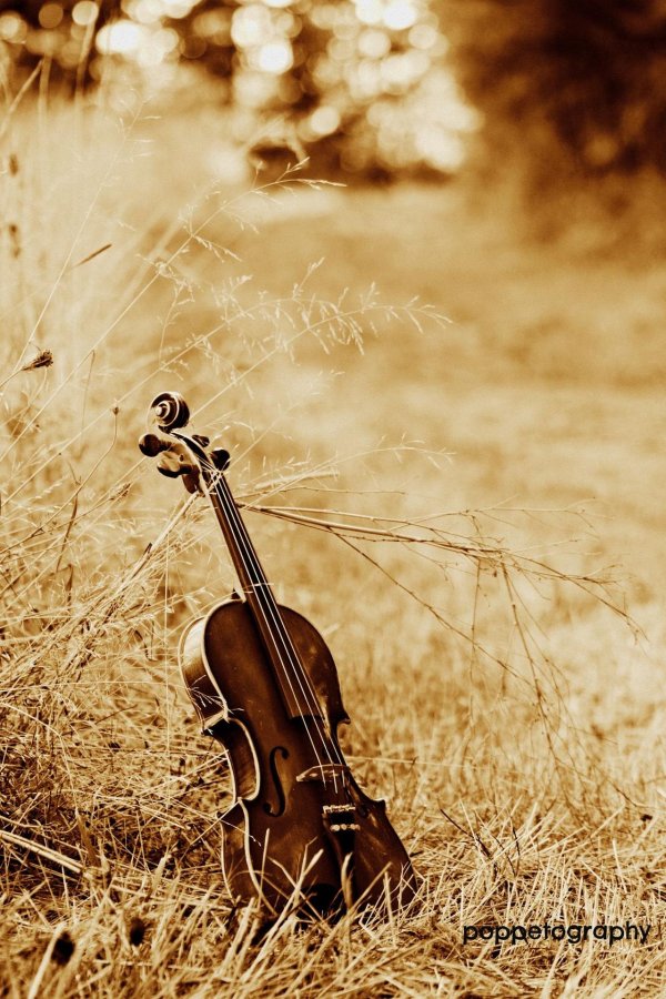 скрипка фиддл кантри