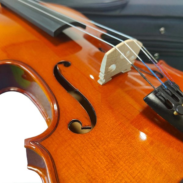 сольное исполнение на скрипке