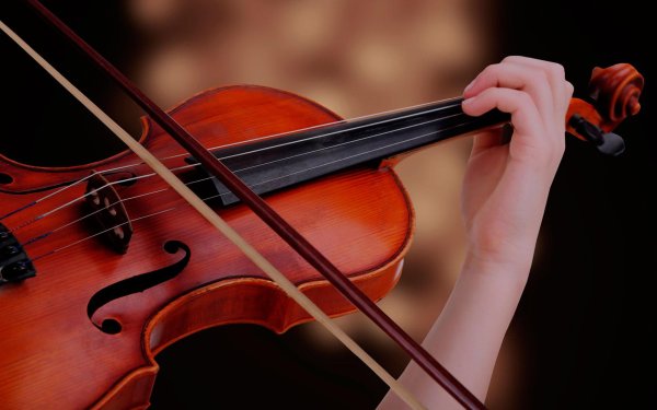 смычок струнные смычковые музыкальные инструменты