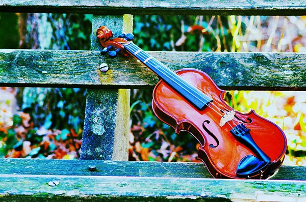 скрипка осень