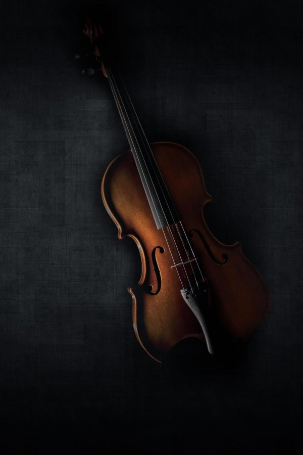 скрипка фон