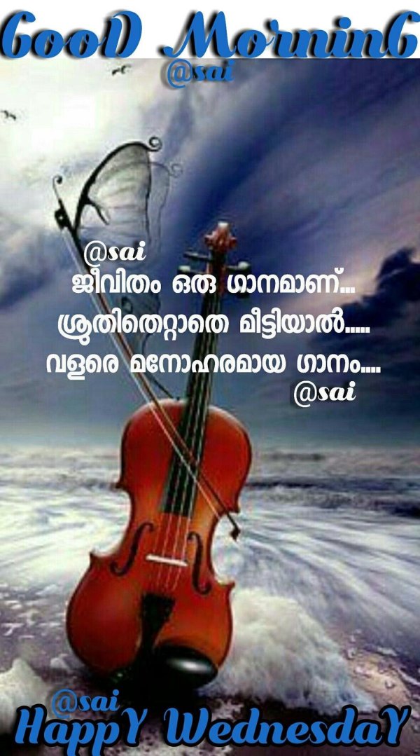 чудесная скрипка