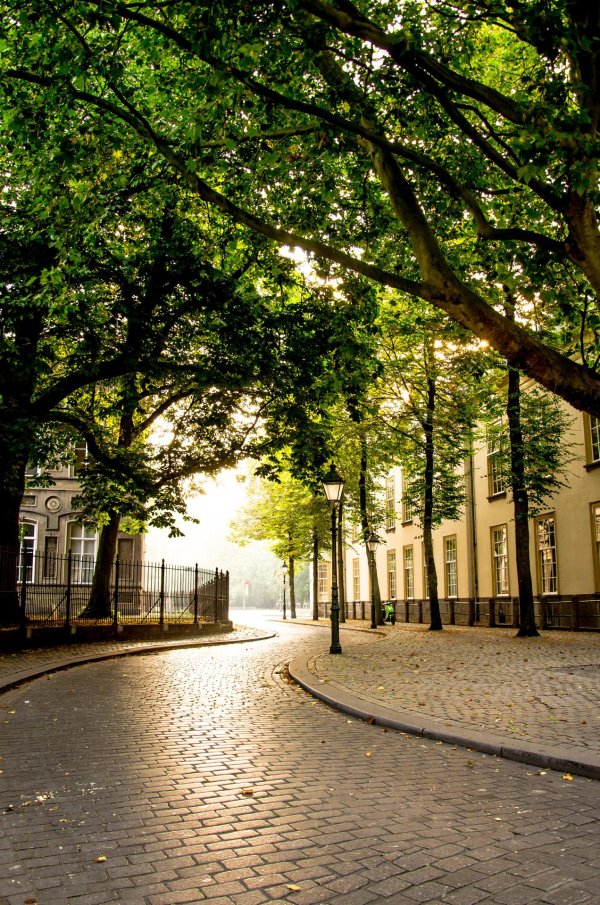 kensington palace gardens london