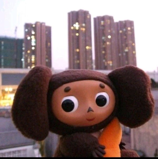 чебурашка в нижнем новгороде