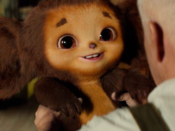 новый чебурашка