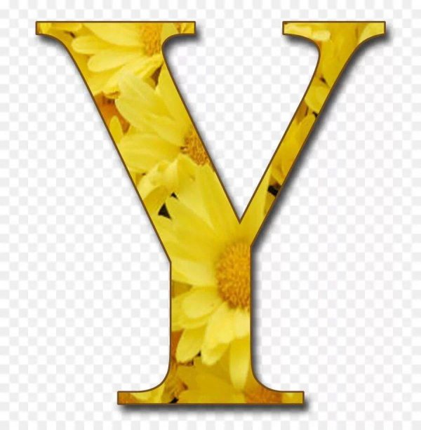 желтые буквы