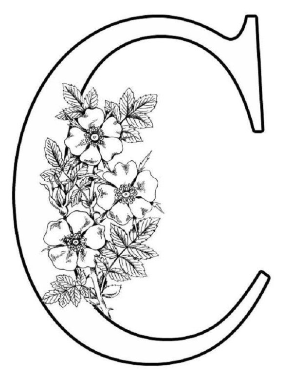 буквыи для распечатывание