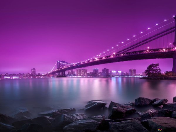 фиолетовый город