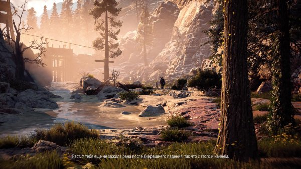 horizon zero dawn природа