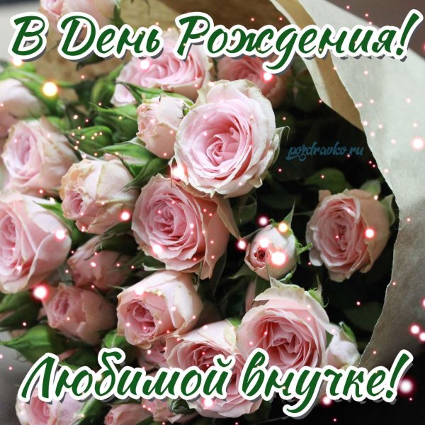 с днем рождения любимая внучка открытки