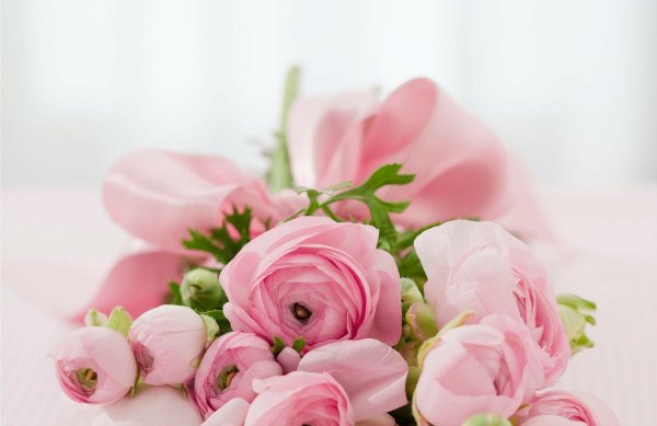 С цветами девушке и пожеланиями