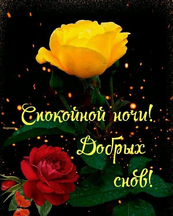 спокойной ночи цветы