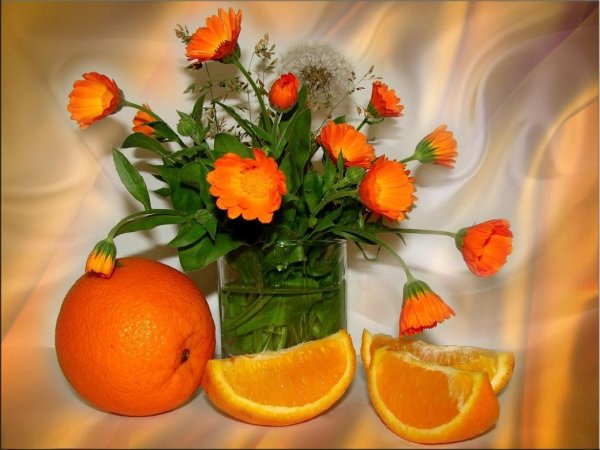 календула танжерин лимон