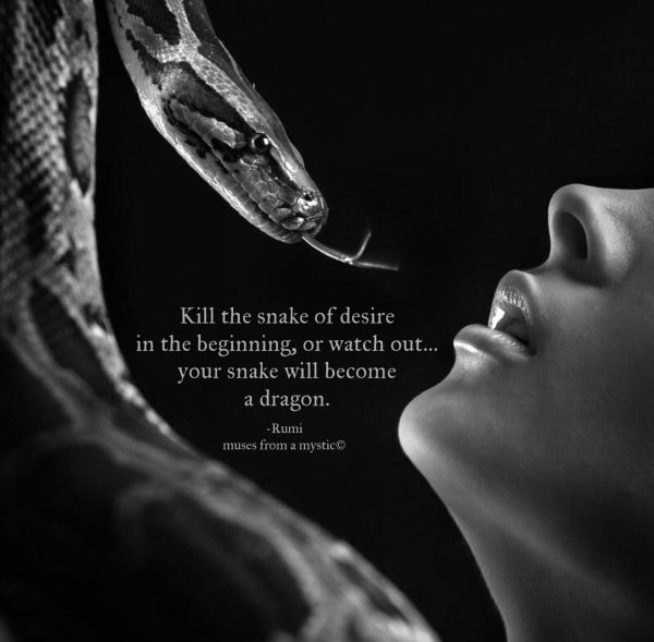 девушка змей