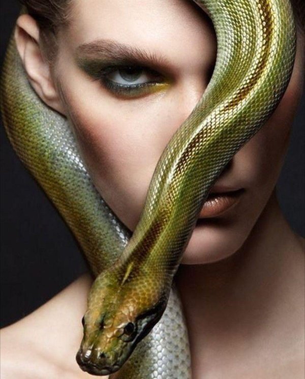 макияж змеи