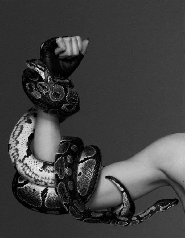 фотосессия со змеями