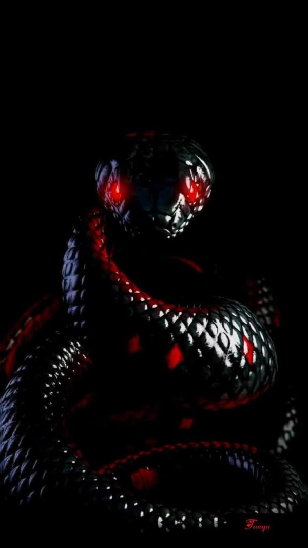 красивая змея