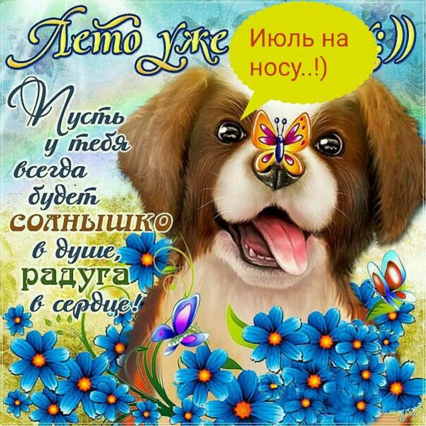 открытка летняя