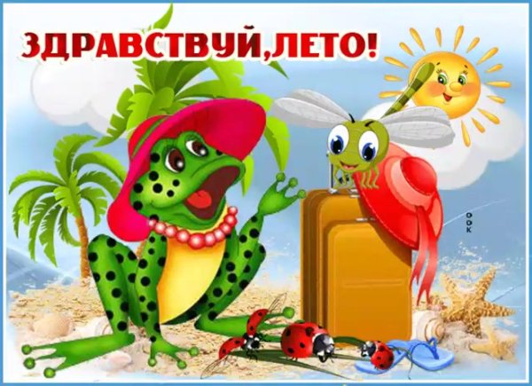 теремок лягушка квакушка